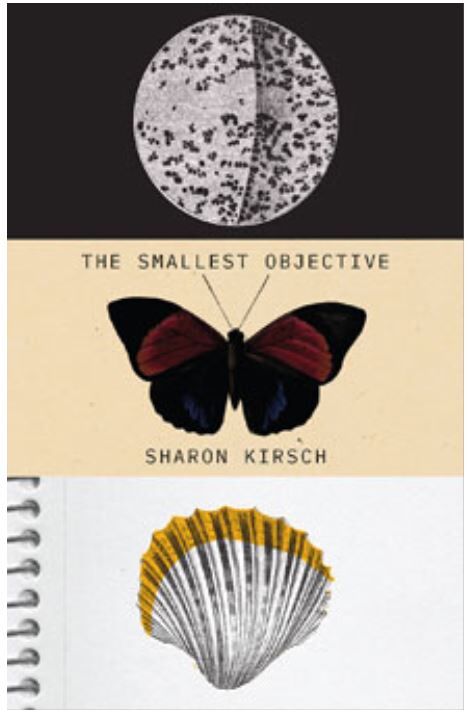 The Smallest Objective traces author’s past while recovering memories: September is World Alzheimer’s Month